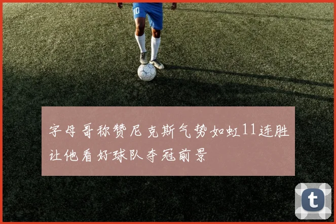字母哥称赞尼克斯气势如虹11连胜让他看好球队夺冠前景