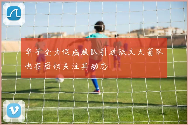 华子全力促成狼队引进欧文火箭队也在密切关注其动态